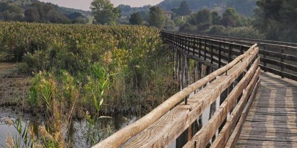 Wide view of Colfiorito Park, with a wooden bridge in the foreground offering a vantage point to admire the surrounding landscape rich in biodiversity.
